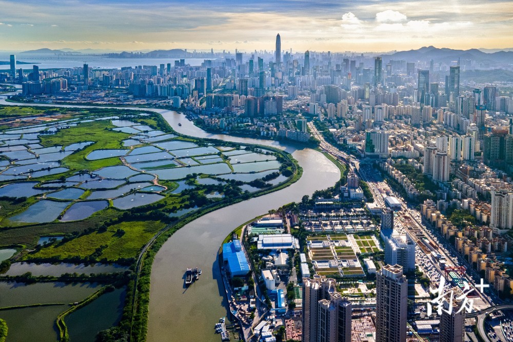 深港协同,河套共融|蜿蜒宁静的深圳河,何以见证深港"鱼水情深"?