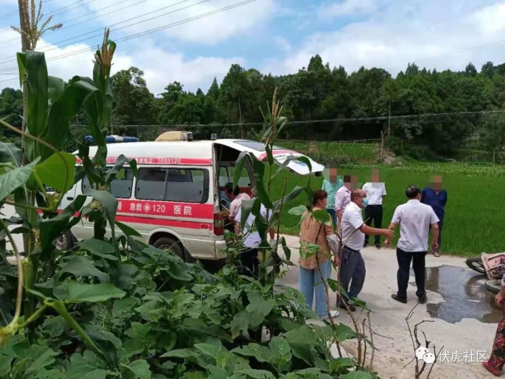 接网友爆料:6月29日中午11点30分左右,在南部县伏虎刘家沟村往五岳宫