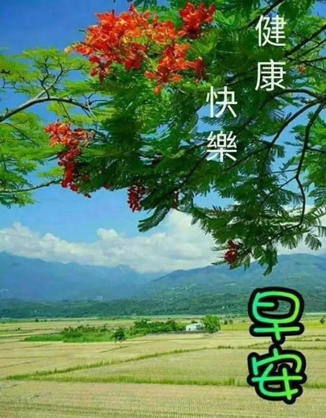 早上好朋友,夏季非常漂亮早安问候图片带字温馨,早晨问候语动态图片