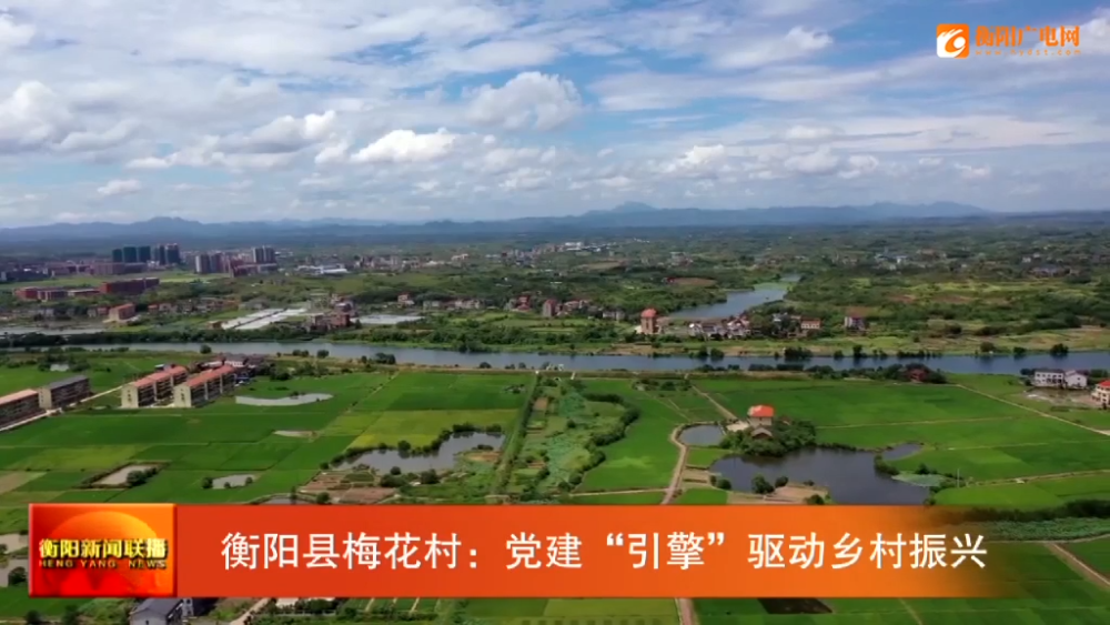 衡阳县梅花村:党建"引擎"驱动乡村振兴