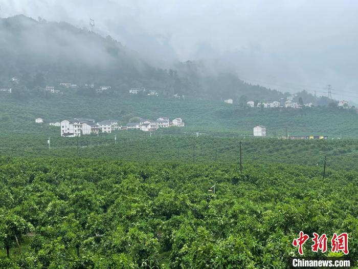 【区县解读】重庆万州:农旅融合绘新景 美丽乡村开启"美丽经济"