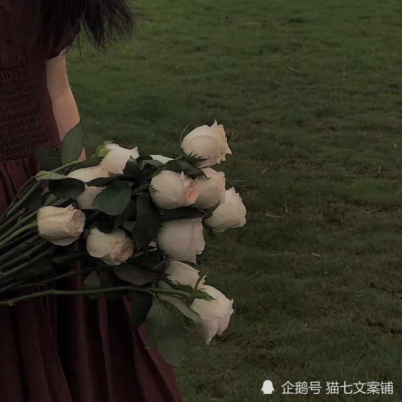 今日文案|关于鲜花的浪漫文案
