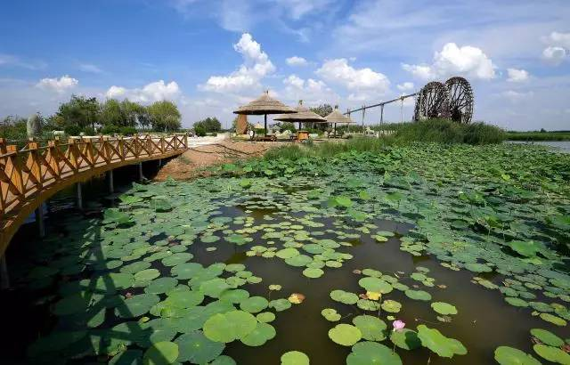 宁夏热门旅游景点 鸣翠湖国家湿地公园 低音号免费语音导游