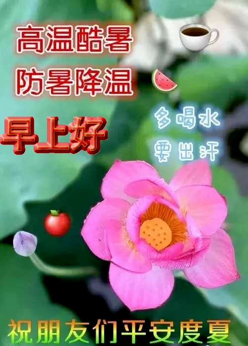 2021最新漂亮夏日风景早上好图片带祝福语 好看的夏天