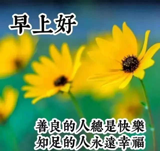 周四大家早上好向快乐出发很好看的早安图片