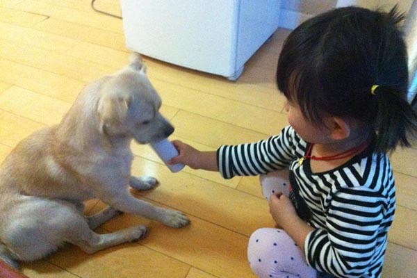 6岁孩子突然大量脱发，怎么回事？医生：和宠物身上的寄生虫有关