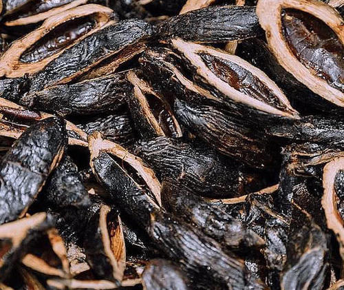 槟榔排名_槟榔的危害(2)