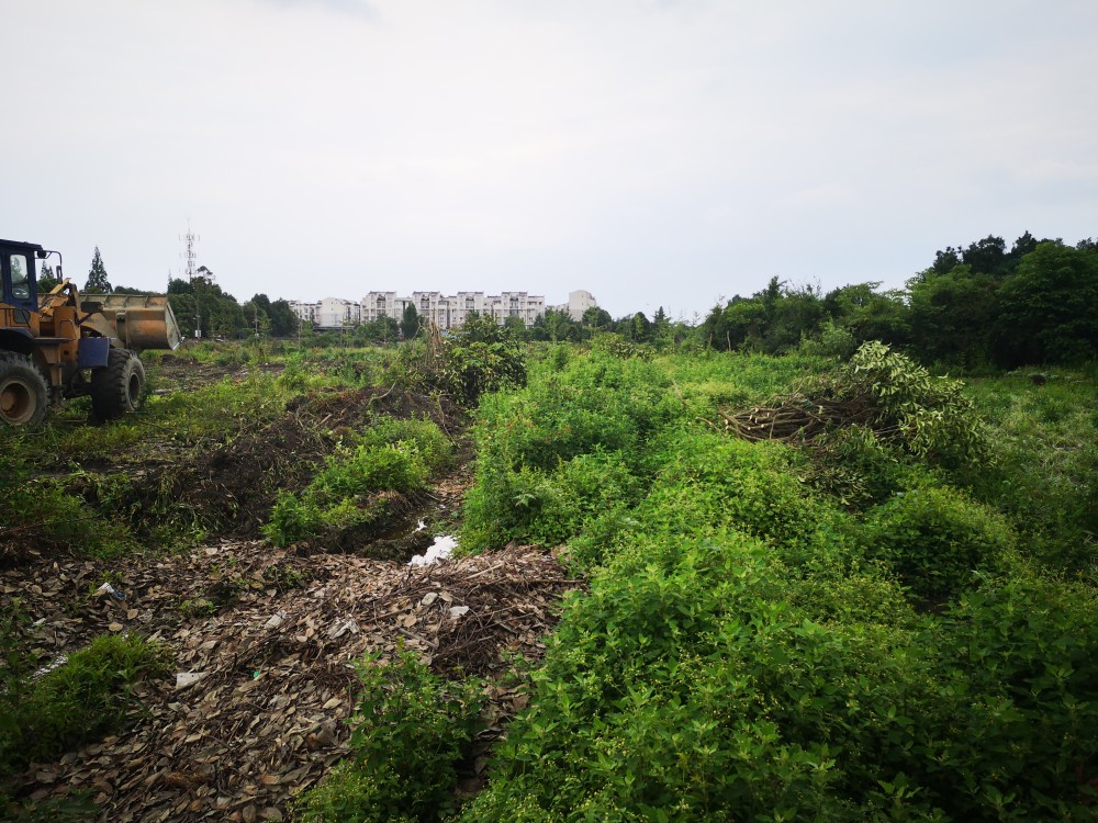 温江区寿安镇百花三期"两拆一增" 荒地变敞开空间