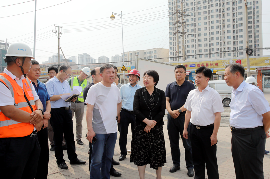 西青区领导调研积水片区改造工程,蓄滞洪区准备及防汛工作