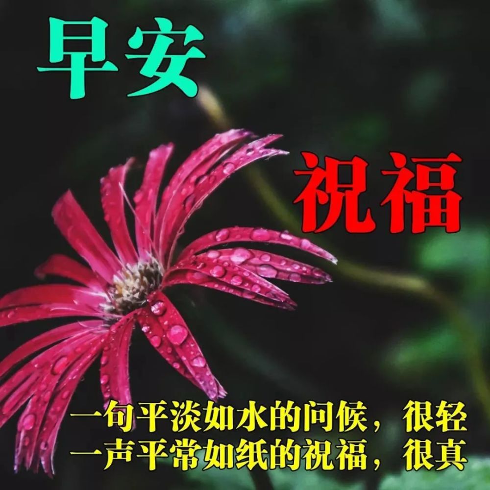 早上好朋友,夏季最美早安问候语表情图片,最新漂亮早上好表情动态图