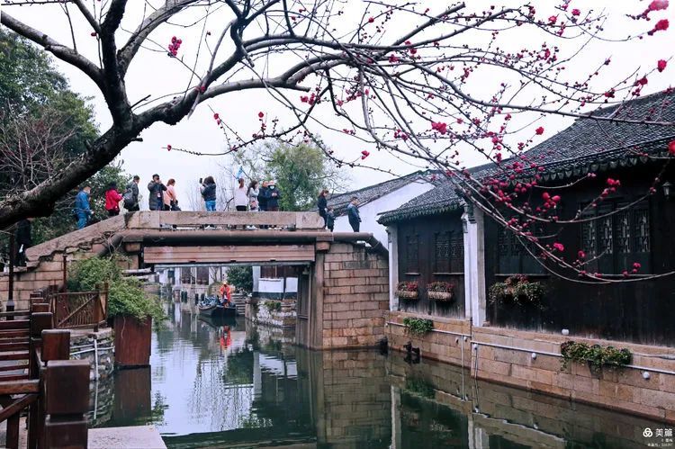 风景摄影:忆江南