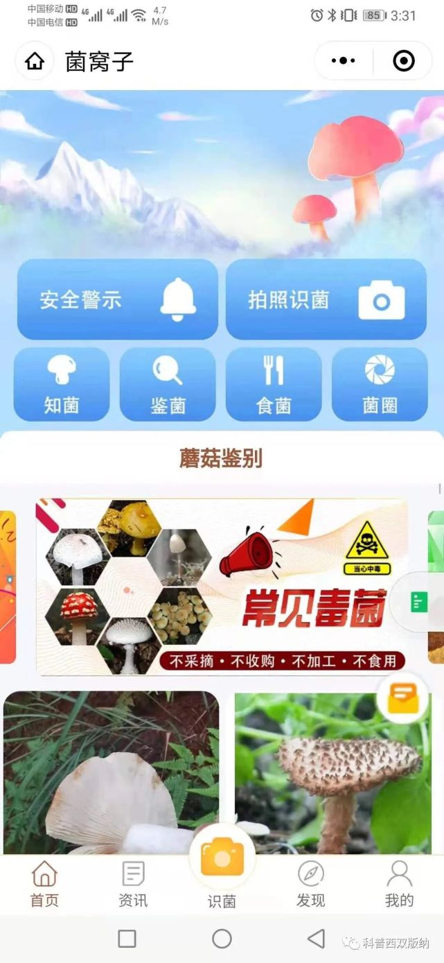 关注菌子能不能吃用这个app一招鉴别