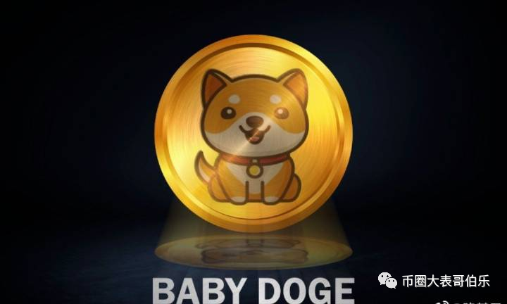 还有值得一提的小币babydoge(宝贝狗),从上线后已经涨了近百倍.