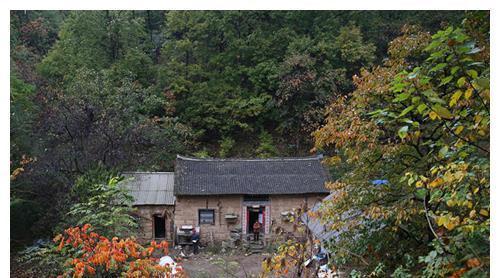 北大高材生王青松:携妻归隐山林,10年花光350万积蓄,现咋样了