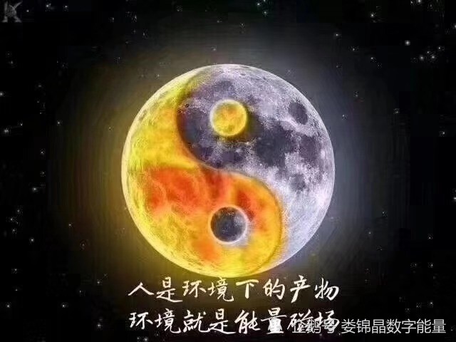 祸害磁场的主要特点是性格叛逆,易钻牛角尖,个人修养较差,易有口舌,犯