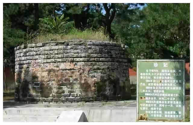 慈禧将珍妃扔井里,后捞出安葬,为何在井上压一块石,铁棒封住?
