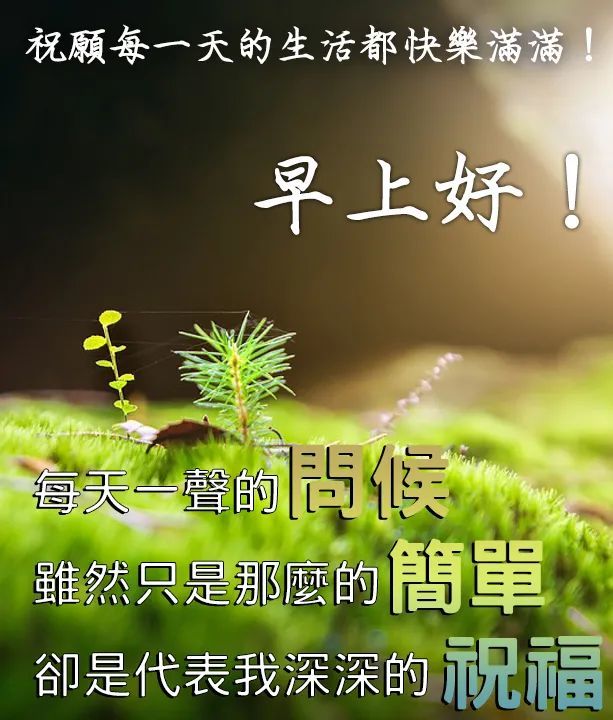 早上好朋友,特别漂亮早上好问候语图片带字温馨,早上好表情问候祝福