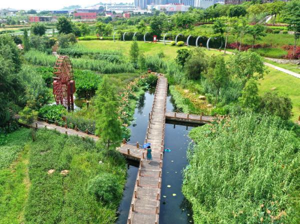 7月3日,市民在广西南宁市那考河湿地公园游玩(无人机照片).