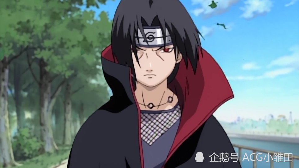 晓组织实力排名_晓组织实力排名全部