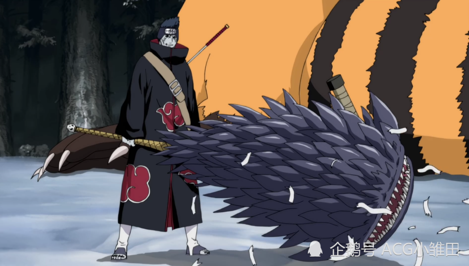 晓组织实力排名_晓组织实力排名全部