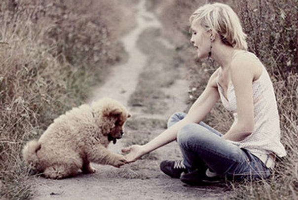 梦境交织，昨晚梦见狗咬自己后，又梦见蛇咬的深层解析