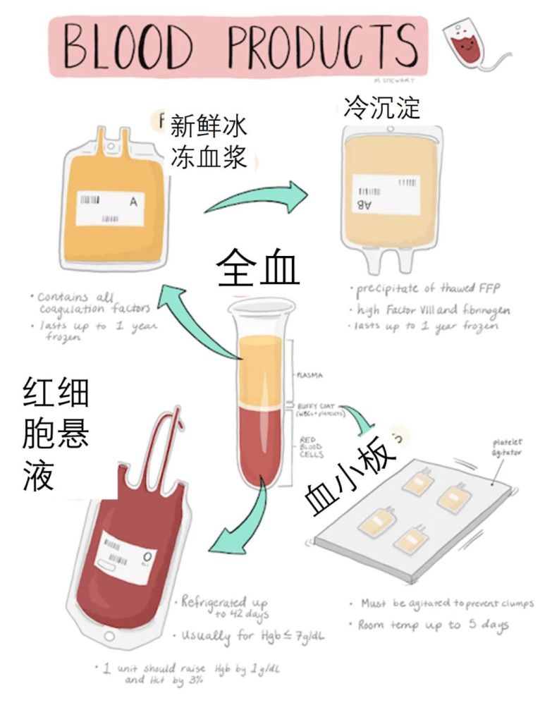 常用的血液制品包括 全血和红细胞悬液,血小板,血浆,冷沉淀.