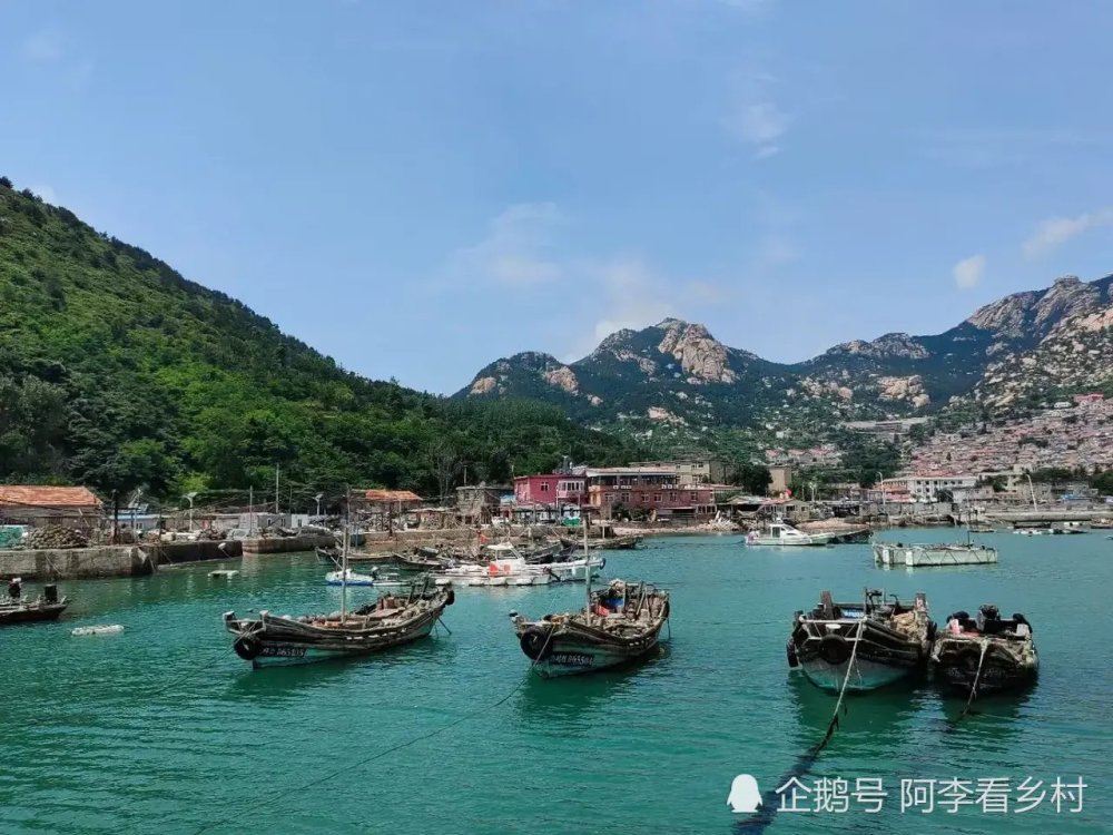 青山渔村,青岛崂山一道亮丽的风景