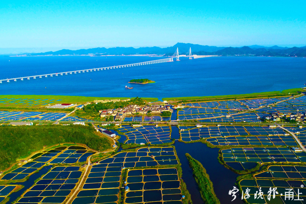 三等奖《多彩港湾》 张新跃 摄于鄞州区咸祥镇