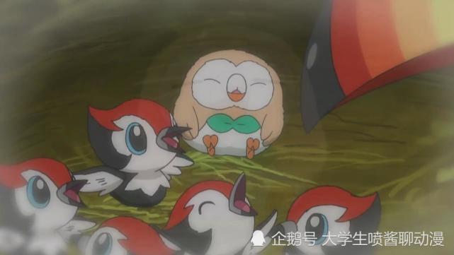 宝可梦之谜:有些宝可梦不生蛋咋繁殖,不同类的宝可梦
