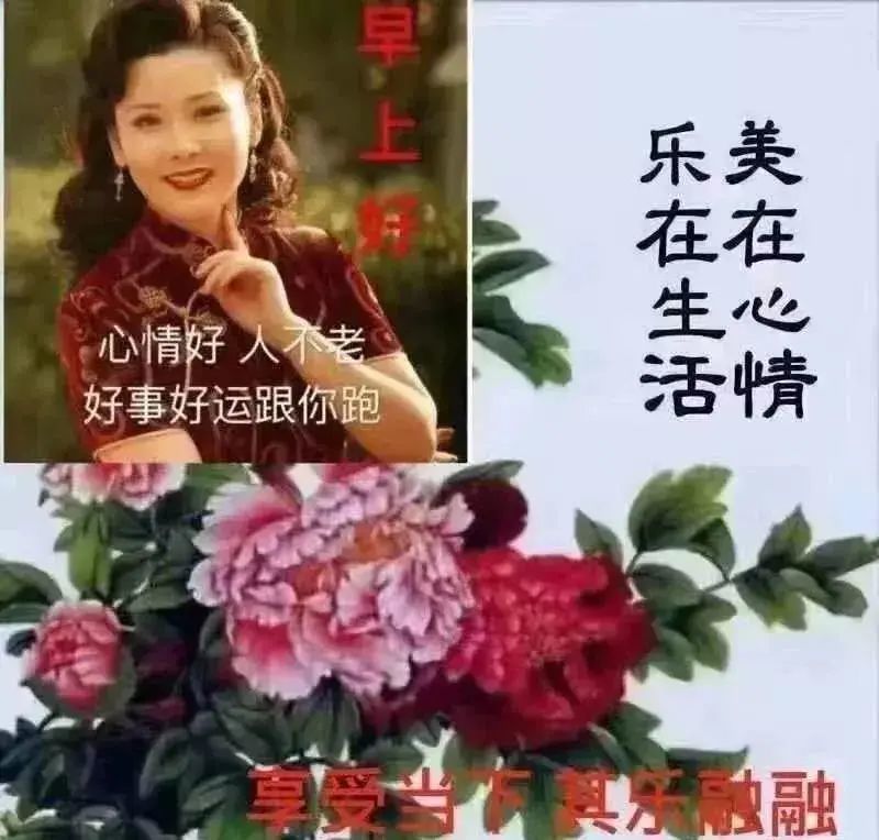 中老年表情包美在心情乐在生活