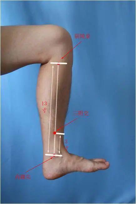 3,血海定位:在股前区,髌底内侧端上2寸,股内侧肌隆起处.