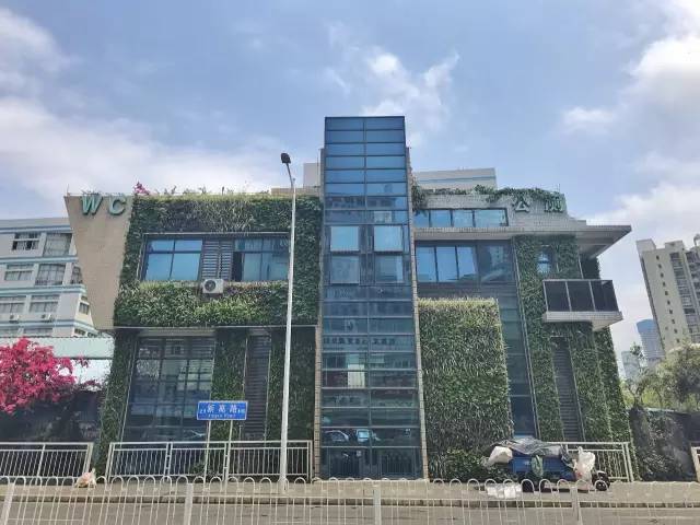 深圳再被委以重任！要成为中国最美城市