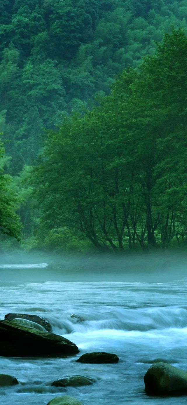 梵净山的夏景,每一幅都是绝美屏保