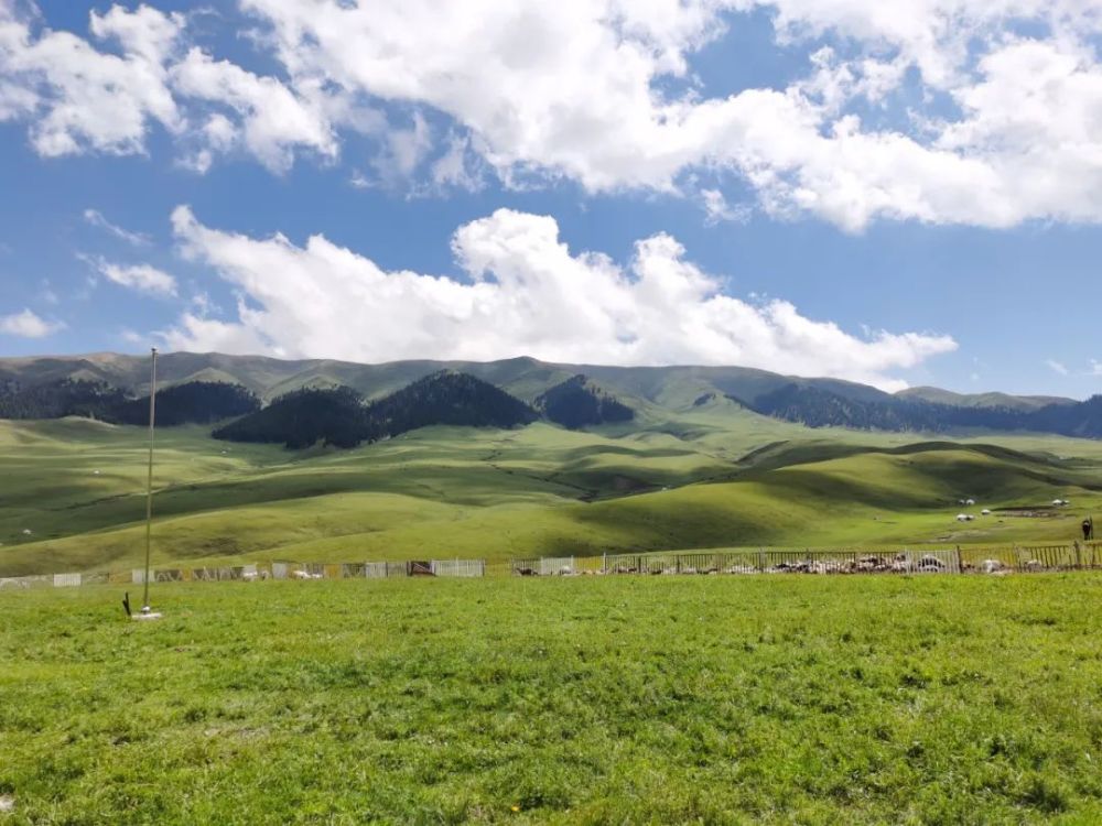 新疆昭苏县野狼谷的草原风光自然风景