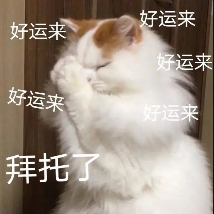 最近又水逆了?丨第141期喵表情
