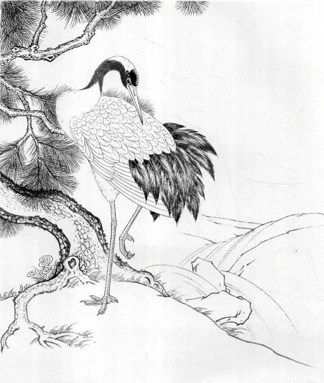 鹤的白描画法鹤很难画9张白描线稿拓画临摹学会画鹤很简单