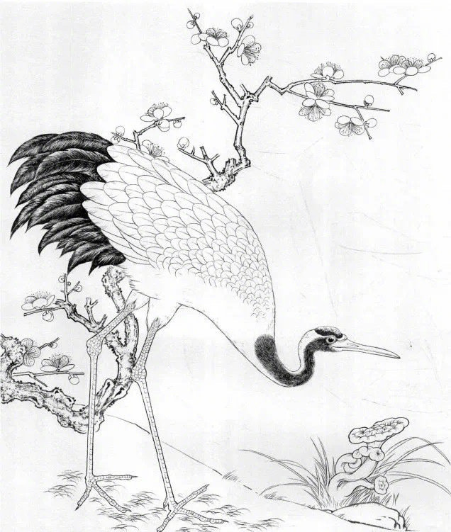 鹤的画法古来有之,当下画家更多画鹤是在临摹古人留下的线稿,但是很多