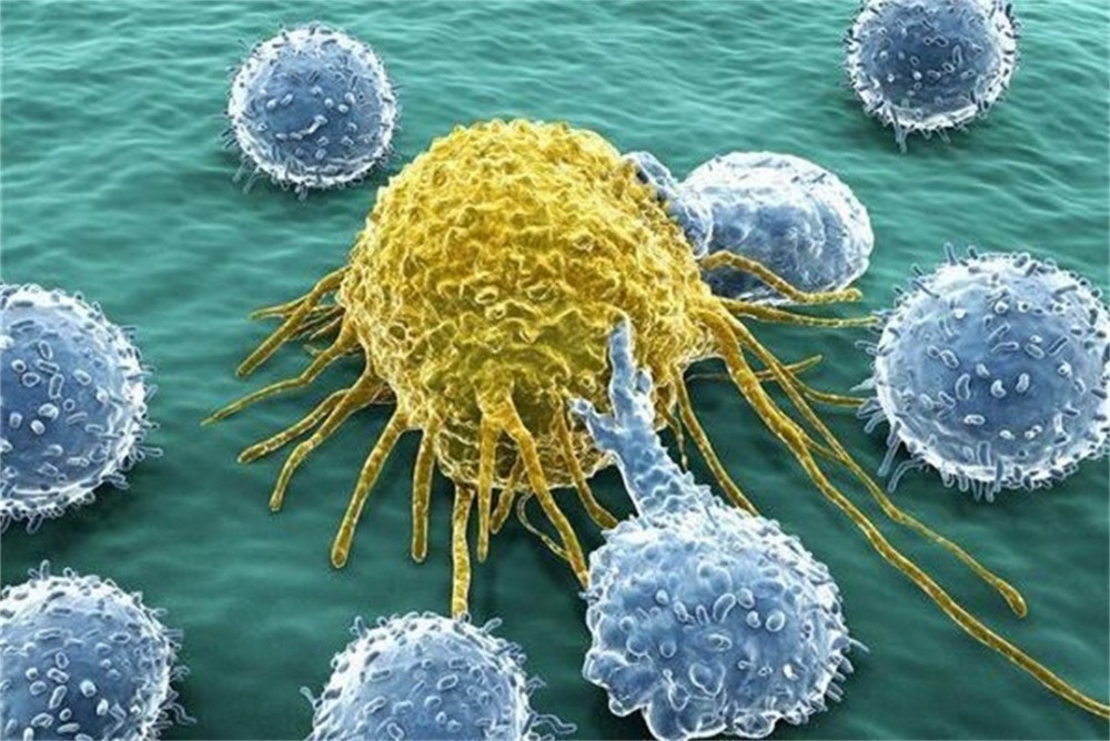 如果人生吞一亿个癌细胞,有什么后果?会因此得癌症吗?