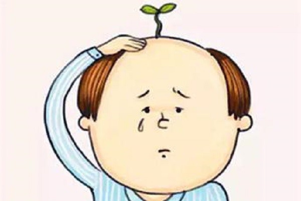 拒绝坐等秃头!|脱发|雄激素源性脱发