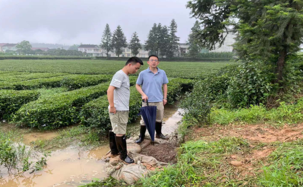 桃源县茶庵铺镇党委书记马宏志载誉而归更担当