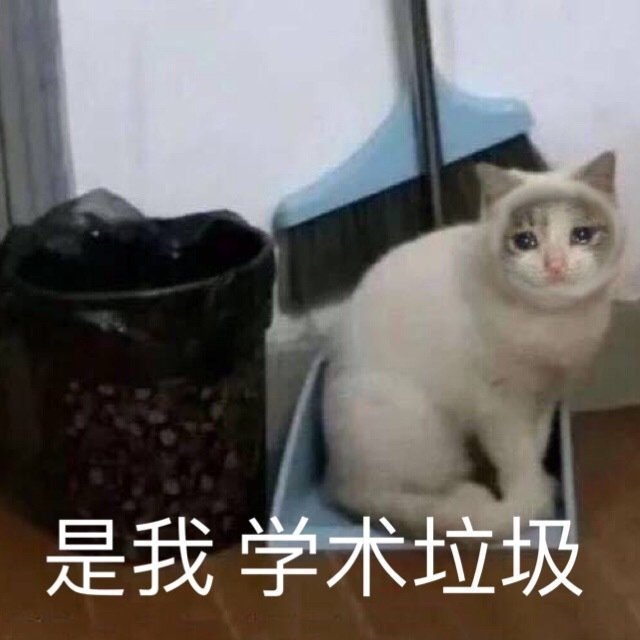 表情包是我学术垃圾