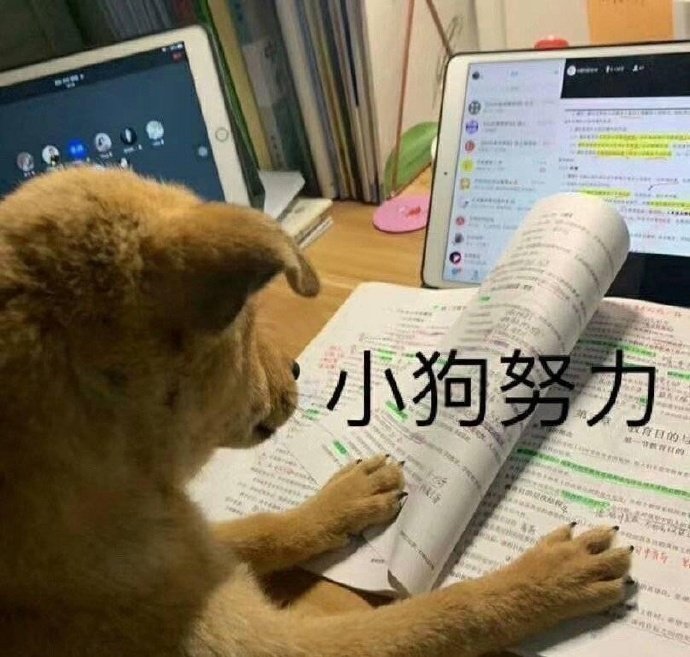 表情包| 是我学术垃圾