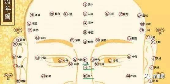 上图标示了山根,年上,寿上的位置,年上和寿上合起来就是疾厄宫,今天