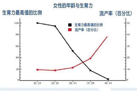 妊娠GDP(3)