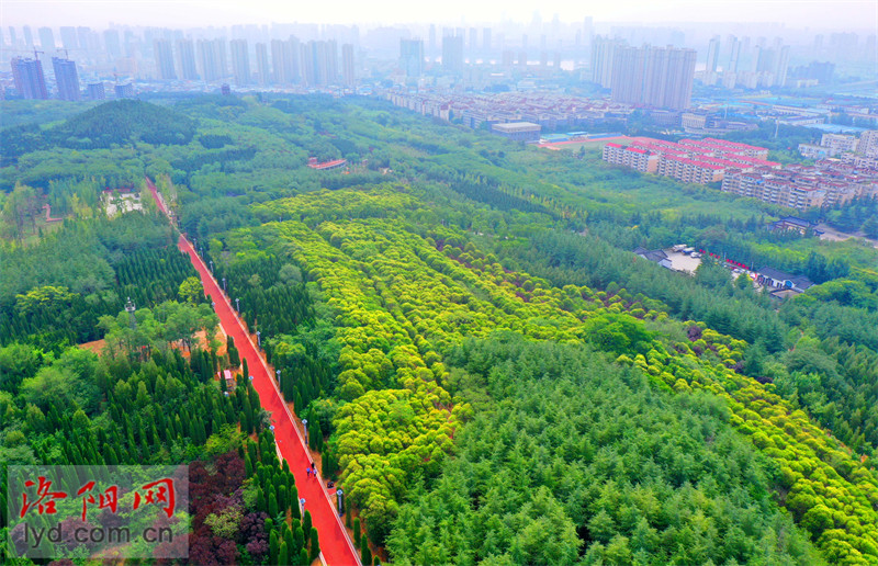 5日,俯瞰炎炎夏日里的洛阳周山森林公园,隋唐城遗址植物园,中国国