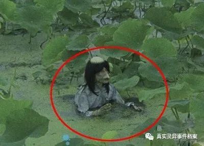 钓鱼的灵异事件 绝不是钓到蛇钓到龟 而是