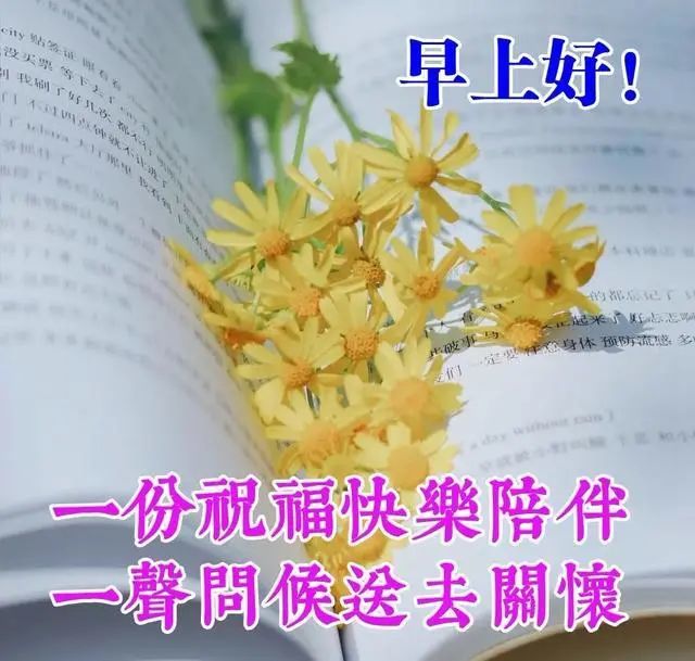 早上好朋友,清晨阳光暖心早安问候语录,早上好图片祝福动态表情