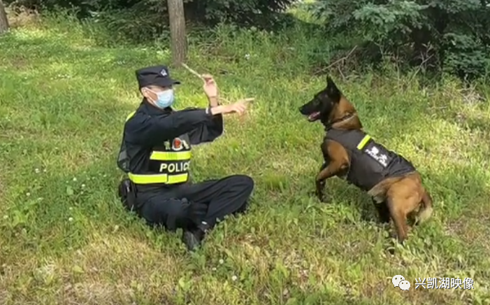密山口岸警犬黑龙的一天