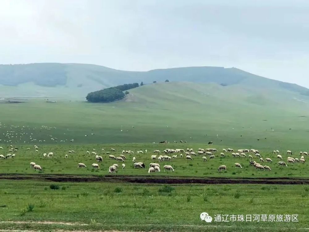 珠日河草原旅游区