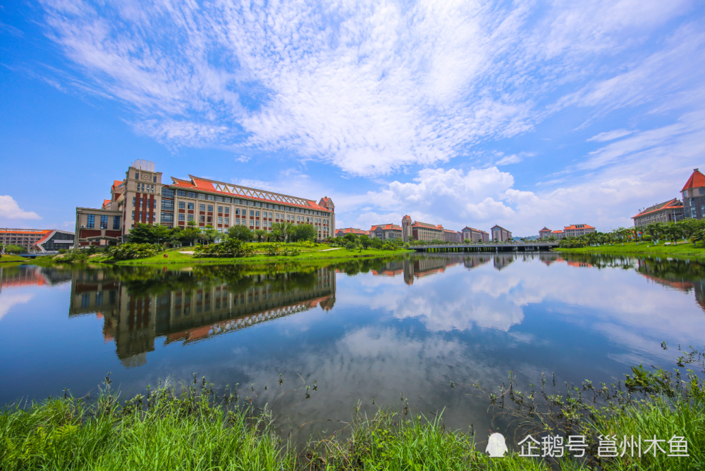 钦州和北海,都在竞争海洋大学的牌子和资源,谁会是最后的赢家?